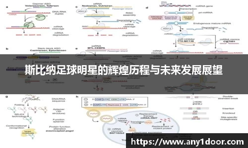 斯比纳足球明星的辉煌历程与未来发展展望