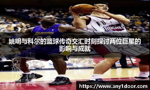 威廉希尔WilliamHill中文