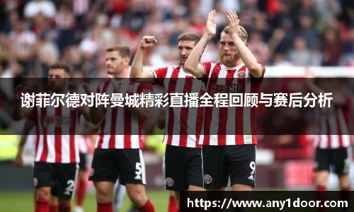谢菲尔德对阵曼城精彩直播全程回顾与赛后分析